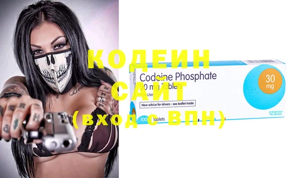 крисы Ельня
