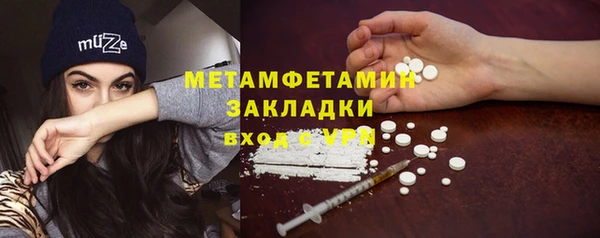 крисы Ельня