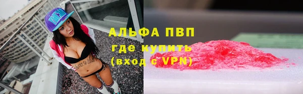 СК Елизово