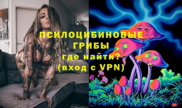 СК Елизово