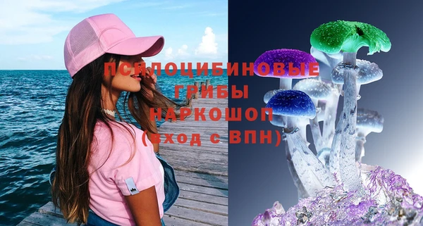 СК Елизово