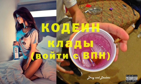 крисы Ельня