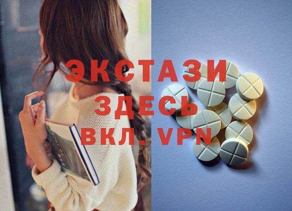 крисы Ельня