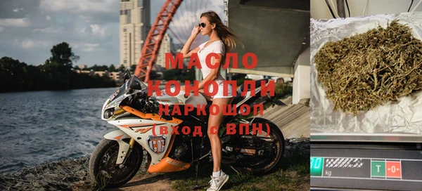 крисы Ельня