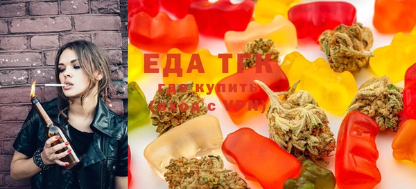 мет Елабуга