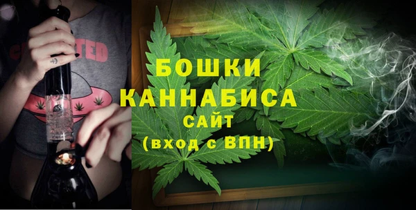 мет Елабуга