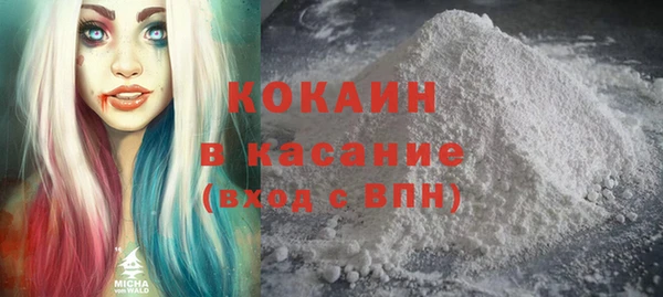 крисы Ельня
