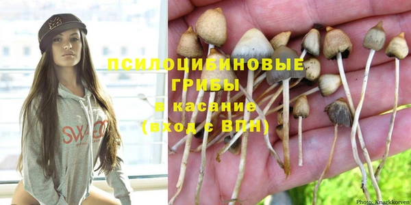 крисы Ельня