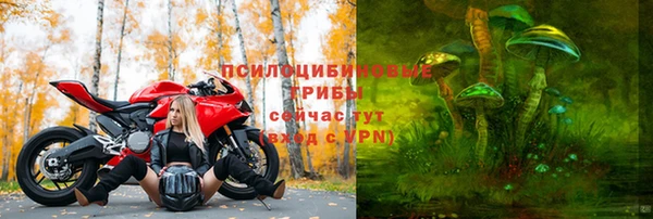 мет Елабуга