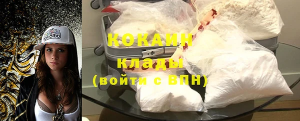 СК Елизово