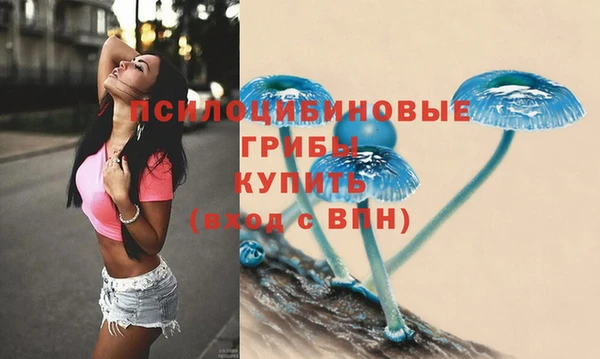 СК Елизово