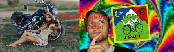 крисы Ельня