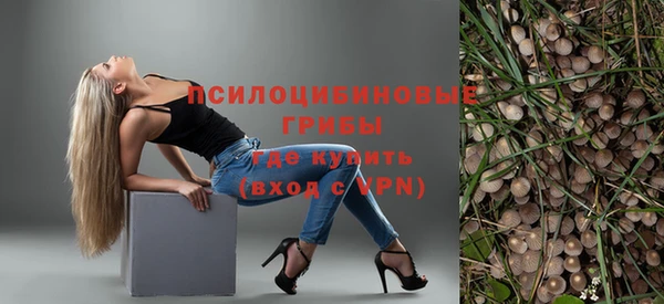крисы Ельня