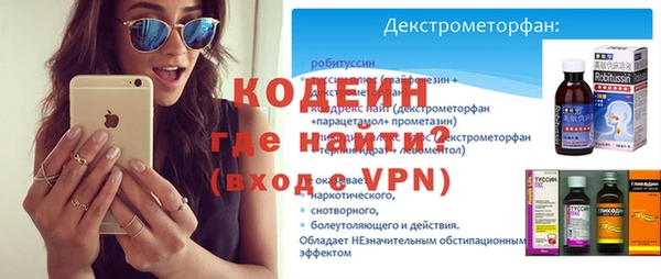 крисы Ельня