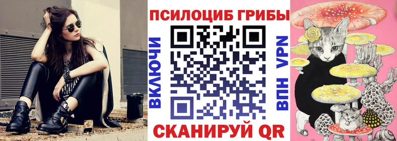 Купить закладки  Юрга  Псилоцибиновые грибы ЛСД 