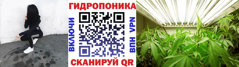 Конопля AK-47  Купить где  Юрга 